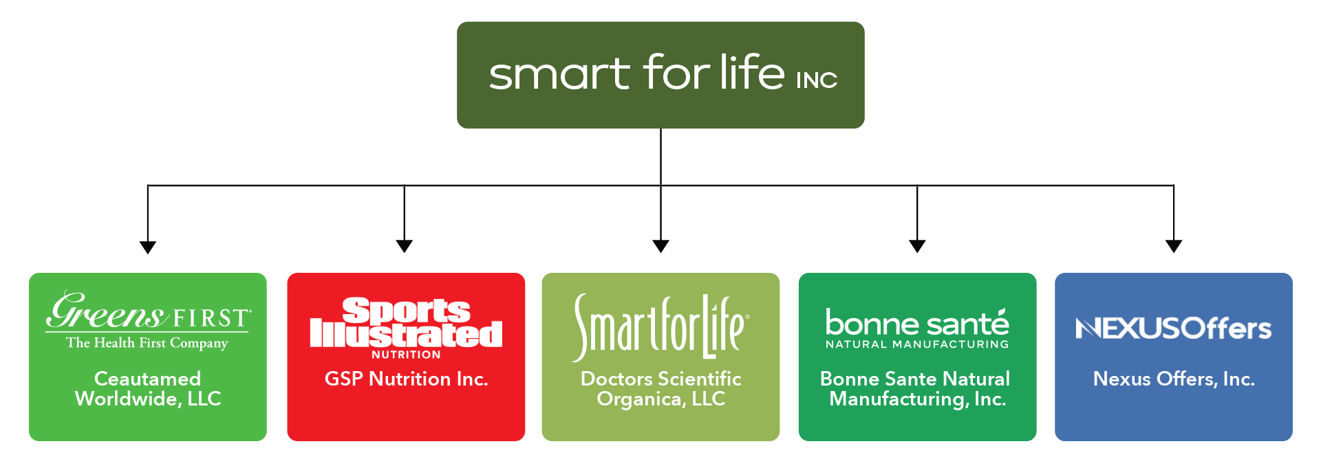 Smart Life, LLC